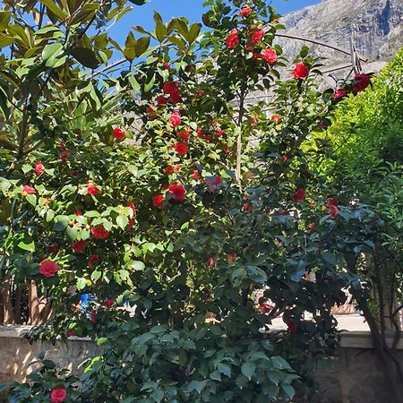 La Grande Apartments Kotor Bagian luar foto