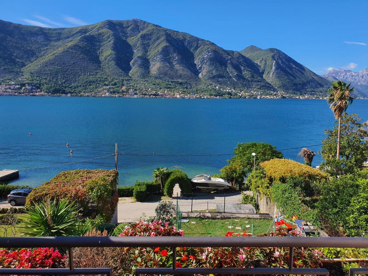 La Grande Apartments Kotor Bagian luar foto