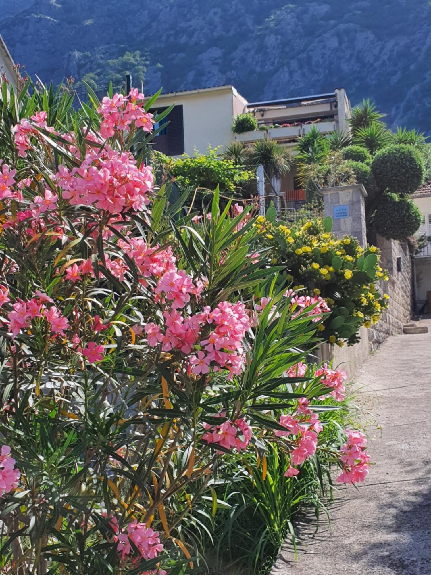 La Grande Apartments Kotor Bagian luar foto